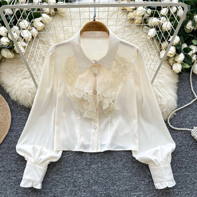 Pamatinformācija ar polo kakla izgriezumu, retro stila garām laternām piedurknēm, elegantām mežģīnēm, elegantām, vienrindām franču ielas apģērba augšdaļas rudens blūze