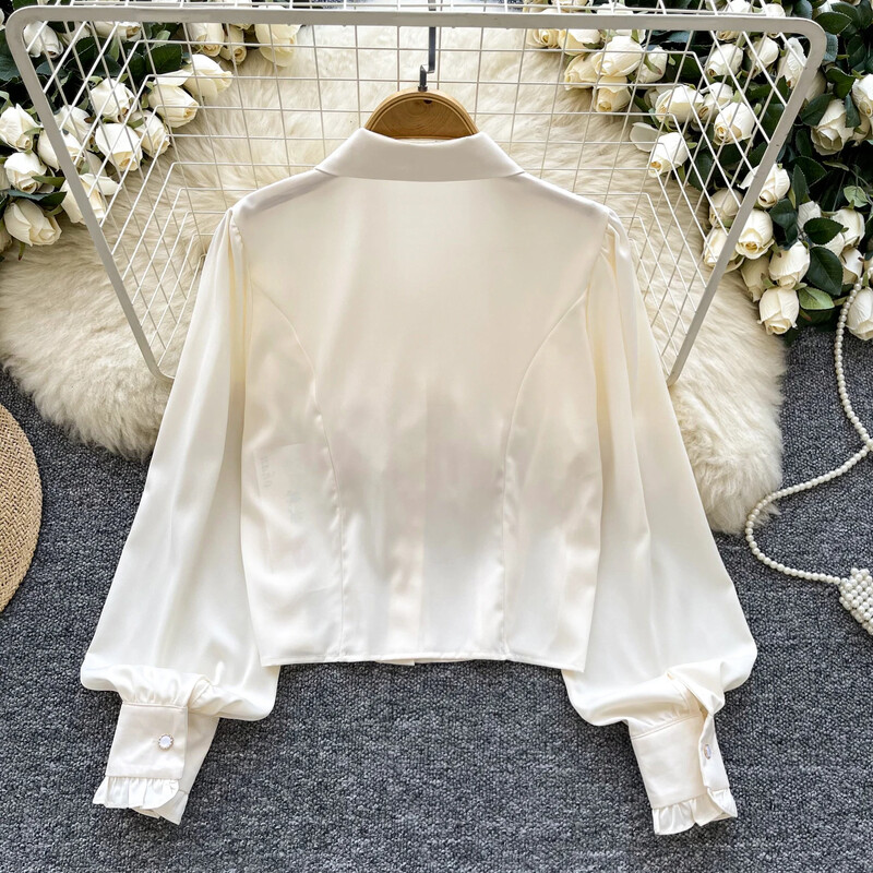 Pamatinformācija ar polo kakla izgriezumu, retro stila garām laternām piedurknēm, elegantām mežģīnēm, elegantām, vienrindām franču ielas apģērba augšdaļas rudens blūze