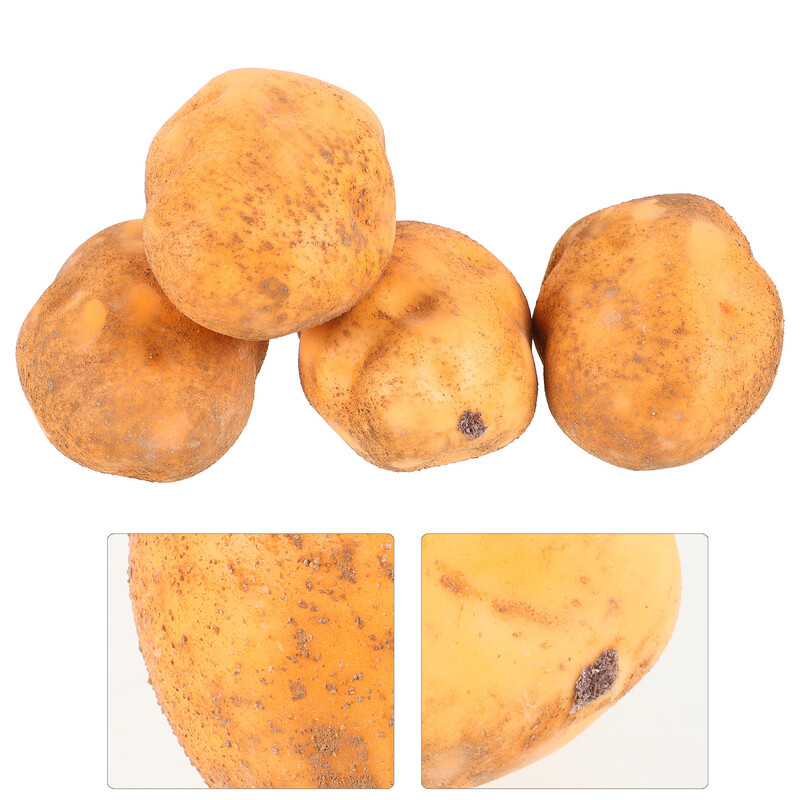 4 vnt. Imituotos bulvinės daržovės Dekoratyvinės rekvizitai Natūralūs amatai Dirbtiniai papuošalai Langai Bulvės netikri modeliai Puikūs dirbtiniai