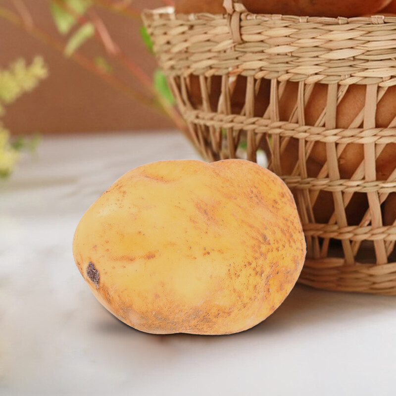 4 vnt. Imituotos bulvinės daržovės Dekoratyvinės rekvizitai Natūralūs amatai Dirbtiniai papuošalai Langai Bulvės netikri modeliai Puikūs dirbtiniai