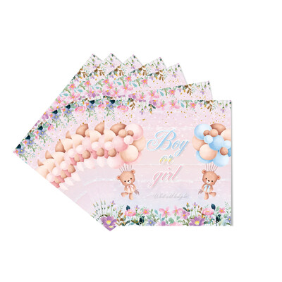 Μαχαιροπήρουνα μιας χρήσης με θέμα Disney Bear, σετ πάρτι που αποκαλύπτει το φύλο