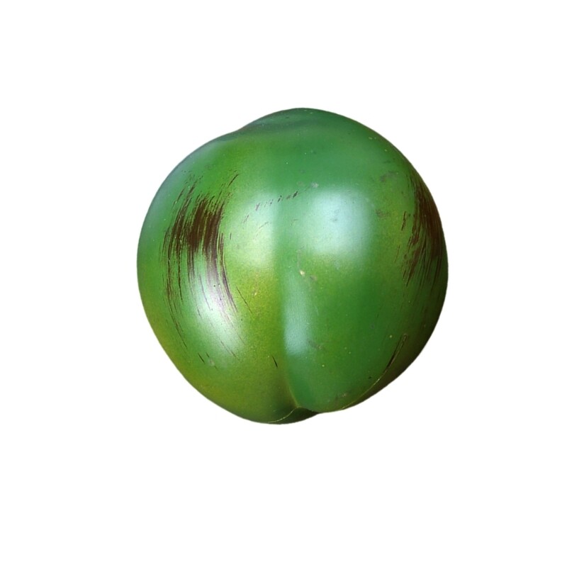 Finom mesterséges kókuszdió a medencékhez és a tengerparti tájak feljavításához