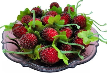 Τεχνητό Raspberry Red Berry, Φράουλα, Faux Fruit, BlackBerry Props, Διακόσμηση τραπεζιού, Μαύρο, 4 τμχ