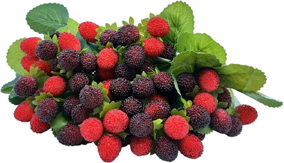 Dirbtinės aviečių raudonos uogos, braškės, dirbtiniai vaisiai, BlackBerry rekvizitai, stalo puošmena, juoda, 4 vnt.