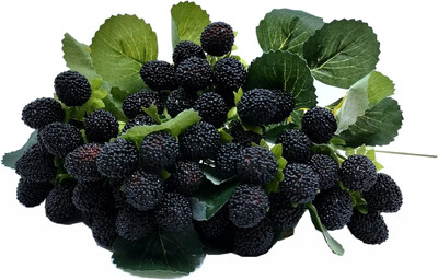 Dirbtinės aviečių raudonos uogos, braškės, dirbtiniai vaisiai, BlackBerry rekvizitai, stalo puošmena, juoda, 4 vnt.