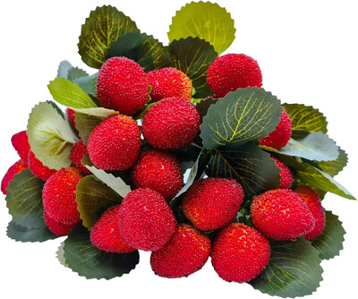 Dirbtinės aviečių raudonos uogos, braškės, dirbtiniai vaisiai, BlackBerry rekvizitai, stalo puošmena, juoda, 4 vnt.