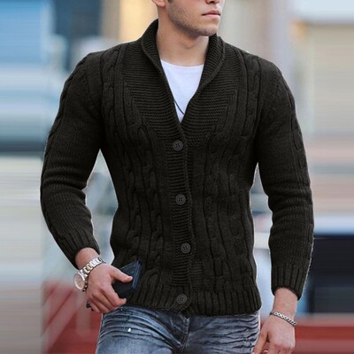 Cardigan tricot cu cablu pentru bărbați, cu decolteu în V, pulover, slim fit, cu mânecă lungă, cardigane casual, haină, haine pentru bărbați, jachetă toamnă iarnă.