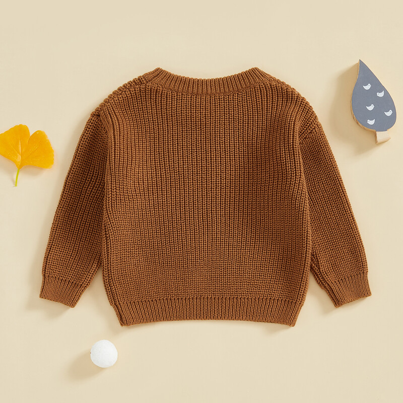 Zēns, meitene, trikotāžas džemperis, zoss, izšūšana ar apkakli un garām piedurknēm, džemperi rudens ziemai