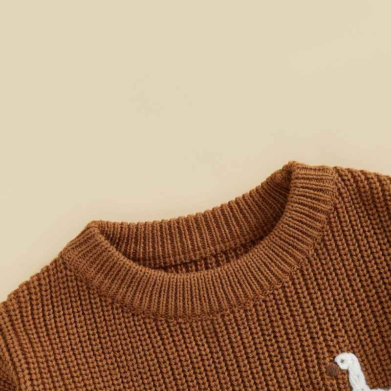 Zēns, meitene, trikotāžas džemperis, zoss, izšūšana ar apkakli un garām piedurknēm, džemperi rudens ziemai