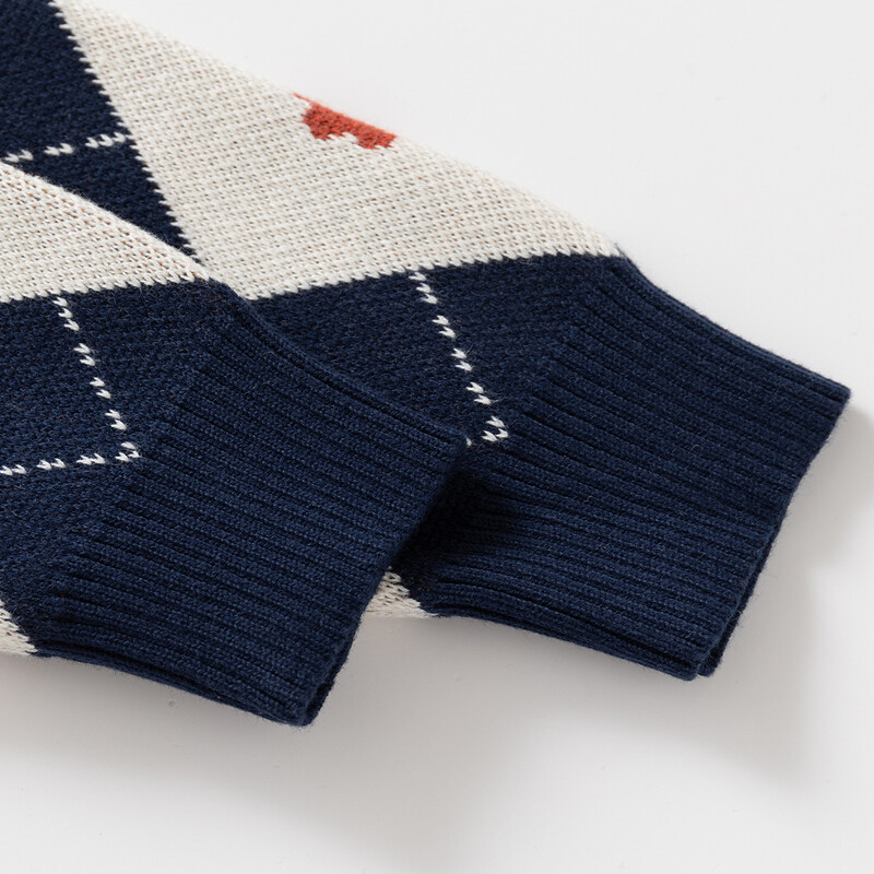 2024 Toamnă Iarnă Copii Băieți Pulover Urs din desene animate cu mânecă lungă Copii Băieți Pulover 1-6 ani Copii mici Bebeluși Băieți Pulover tricotat