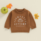 2024-05-15 Lioraitiin Pulover pentru copii, cu mânecă lungă, cu litere, cu decolteu, dovleac, călduros, de iarnă, haine de Halloween pentru fete băieți