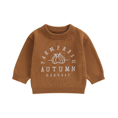 2024-05-15 Lioraitiin Pulover pentru copii, cu mânecă lungă, cu litere, cu decolteu, dovleac, călduros, de iarnă, haine de Halloween pentru fete băieți