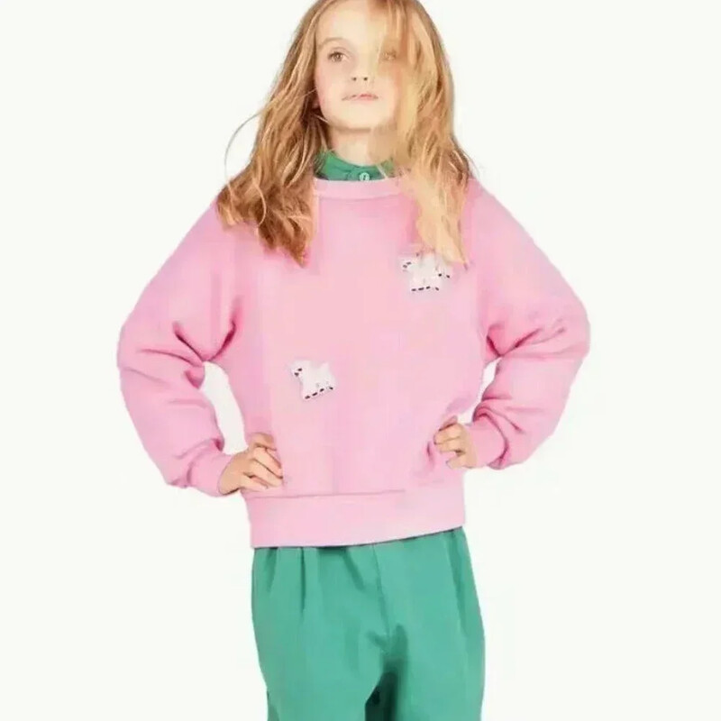 Βρεφικά κορίτσια Αγόρια Φούτερ Παιδικά Κινούμενα Σχέδια με κουκούλες μόδας πουλόβερ 2024 Άνοιξη φθινόπωρο 2 έως 7 ετών Παιδικά νέα ρούχα