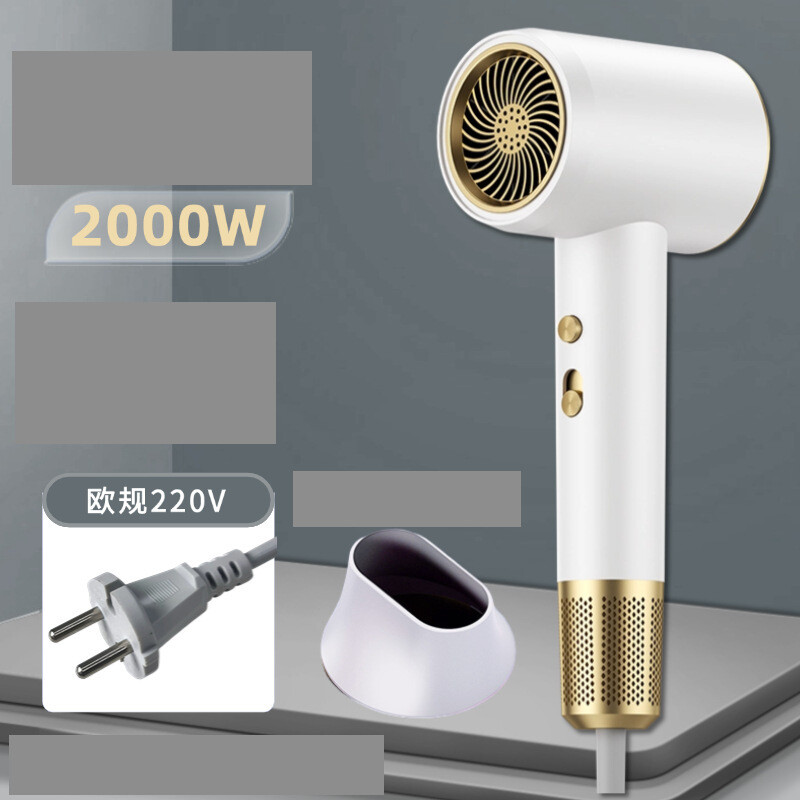 Tarpvalstybinis plaukų džiovintuvas namų bendrabutis karšto ir šalto oro neigiamas jonas internetas garsenybių kirpykla didelio galingumo plaukų džiovintuvų gamintojas