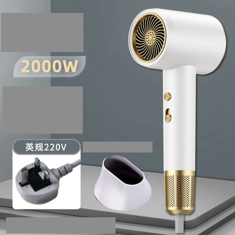 Tarpvalstybinis plaukų džiovintuvas namų bendrabutis karšto ir šalto oro neigiamas jonas internetas garsenybių kirpykla didelio galingumo plaukų džiovintuvų gamintojas