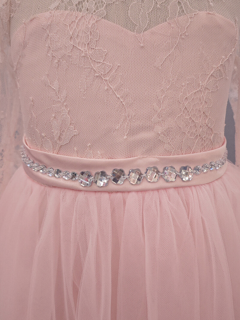 Ροζ ευρωπαϊκές και αμερικανικές μπεστ σέλερ παιδικό φόρεμα παράνυμφων δαντέλα μακρυμάνικη μεγάλη φούστα, φόρεμα πριγκίπισσας κοριτσιών λουλουδιών