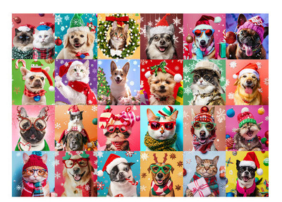 Ziemassvētku Adventes kalendārs 1000 gab. Pieaugušajiem Ziemassvētku atpakaļskaitīšanas kalendārs 2024. gada Ziemassvētku vecīša dāvana pieaugušajiem 1000 gabals