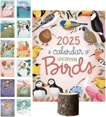 Ručno crtani stolni kalendar s temom ptica za 2025., 12-mjesečna stranica Mjesečni stojeći stolni kalendar, starinski kalendar s ilustracijama ptica