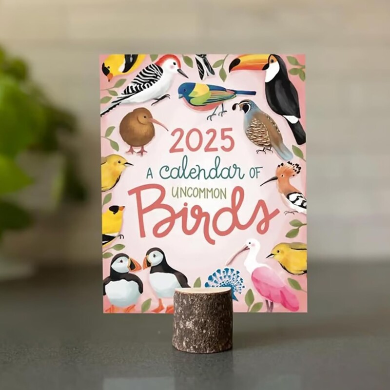 Ručno crtani stolni kalendar s temom ptica za 2025., 12-mjesečna stranica Mjesečni stojeći stolni kalendar, starinski kalendar s ilustracijama ptica