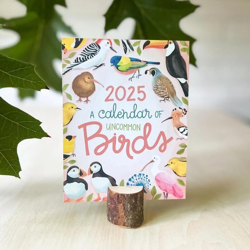 Ručno crtani stolni kalendar s temom ptica za 2025., 12-mjesečna stranica Mjesečni stojeći stolni kalendar, starinski kalendar s ilustracijama ptica