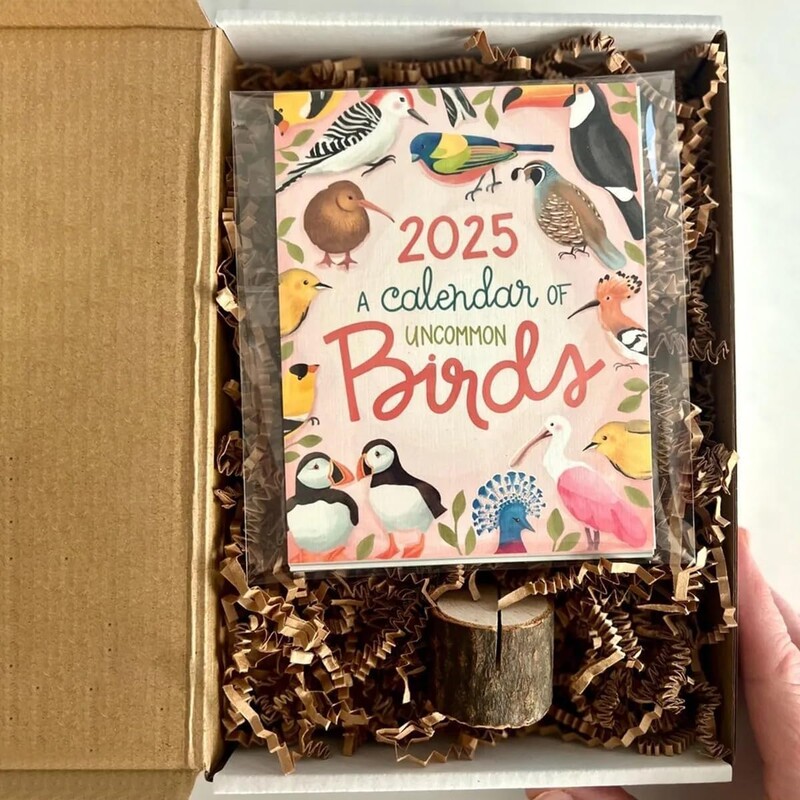 Ručno crtani stolni kalendar s temom ptica za 2025., 12-mjesečna stranica Mjesečni stojeći stolni kalendar, starinski kalendar s ilustracijama ptica