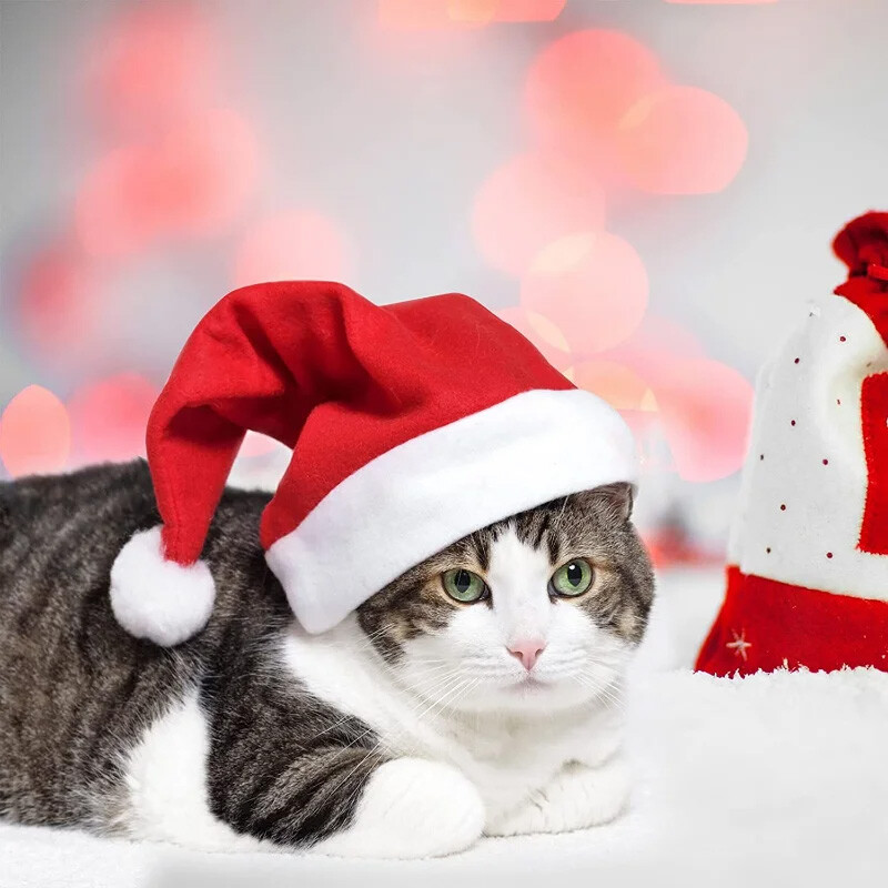 Paketi od 5 boja Božićne kape Plišana kapa Djeda Mraza Udobna baršunasta crvena božićna kapa za božićne zabave Prikladna za odrasle