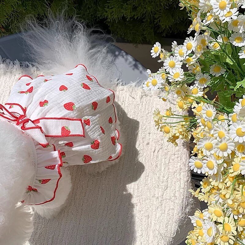 Rochie de căpșuni pentru câini pentru animale de companie 2024 haine pentru câini fustă cu fundă drăguță costum de cățeluș chihuahua îmbrăcăminte pentru buldog francez costum de baie pentru câini