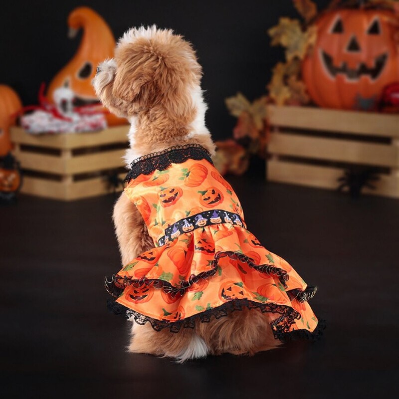 Rochie creativă de Halloween pentru animale de companie Model de dovleac Fusta din dantelă de dovleac drăguț Rochie cu două straturi Rochie moale din dantelă de dovleac