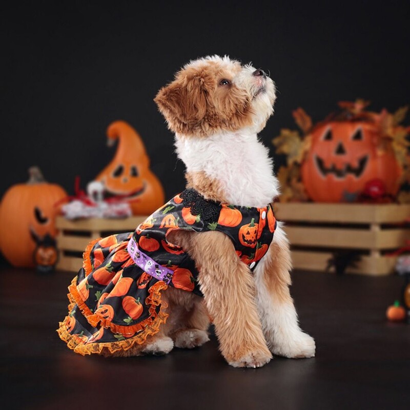 Rochie creativă de Halloween pentru animale de companie Model de dovleac Fusta din dantelă de dovleac drăguț Rochie cu două straturi Rochie moale din dantelă de dovleac