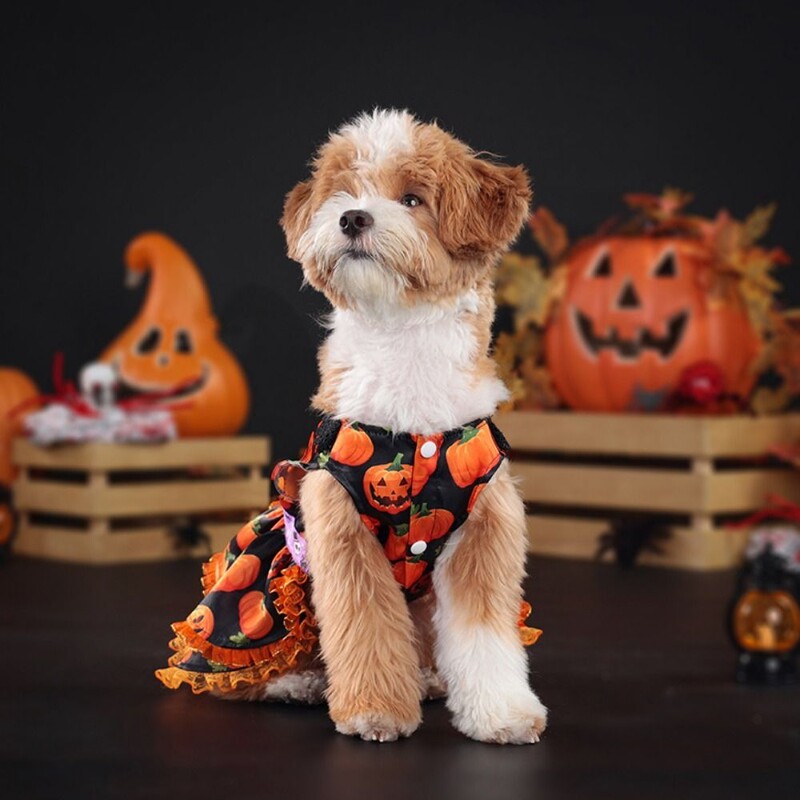 Rochie creativă de Halloween pentru animale de companie Model de dovleac Fusta din dantelă de dovleac drăguț Rochie cu două straturi Rochie moale din dantelă de dovleac