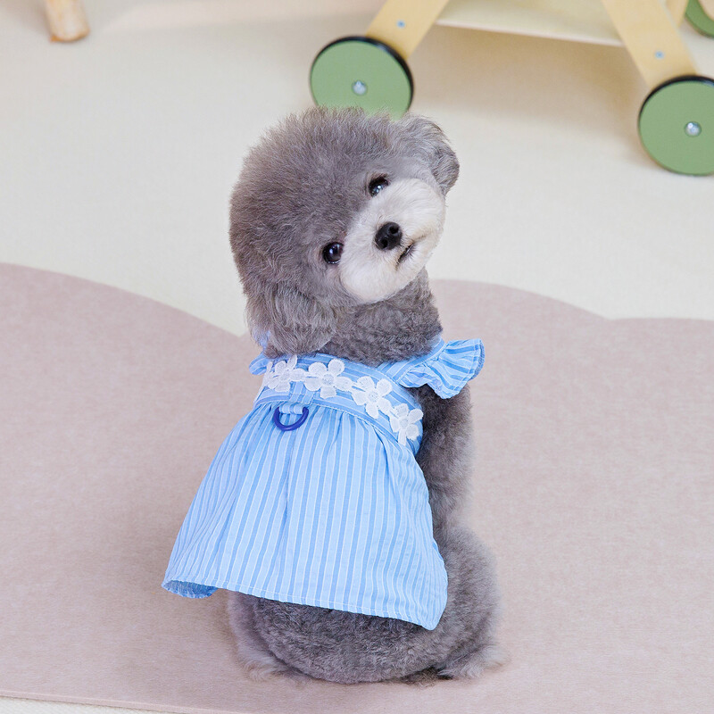 Vasaros princesės naminių gyvūnėlių dryžuota suknelė šunims Mažiems mažiems šuniukams Gyvūnų katės vestuvių vakarėliui Sijonas drabužiai čihuahua jorkams