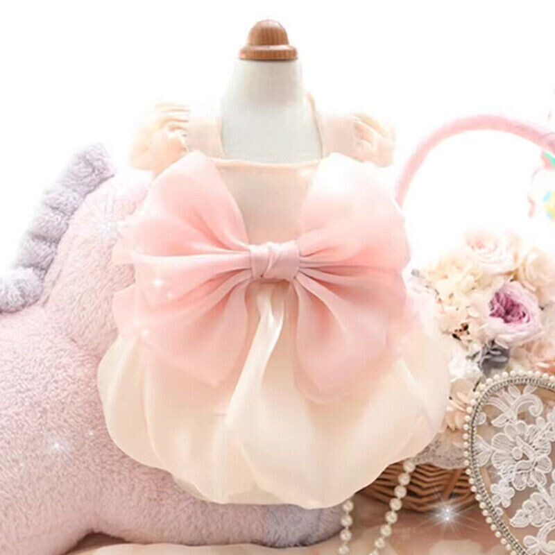 Naminio šuns sijonas šuniukui Bowknot sijonas princesės mažylio šuns vakarėlio vestuvinė marlės suknelė Maži šunys šuniuko katės kostiumas baltas naminių gyvūnėlių reikmenys