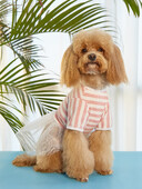 Suknelė šuniui Vasarinis dryžuotas sijonas šuniui Suknelė šuniukui Suknelė katei Suknelė naminiams gyvūnėliams Pavasarinė ir vasarinė sijonas augintinio stiliaus katė