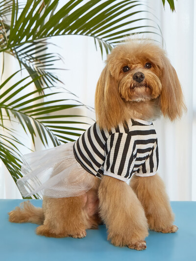 Suknelė šuniui Vasarinis dryžuotas sijonas šuniui Suknelė šuniukui Suknelė katei Suknelė naminiams gyvūnėliams Pavasarinė ir vasarinė sijonas augintinio stiliaus katė