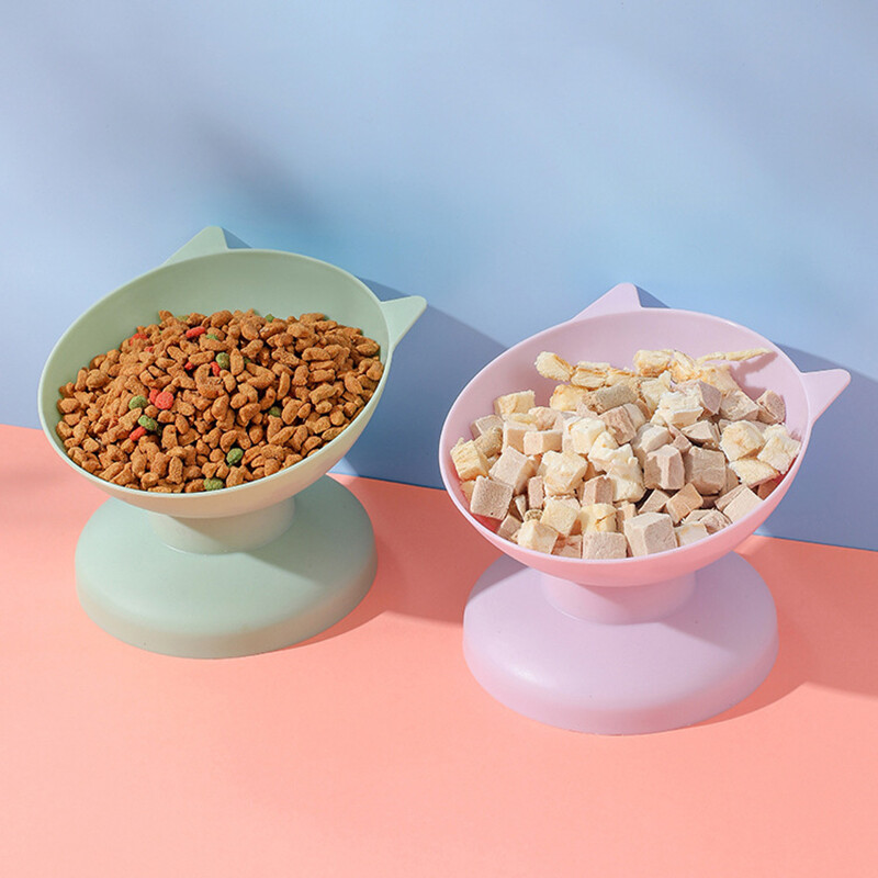 animal de companie, vărsături, farfurie, bol, plastic, înălțat, hrănitor