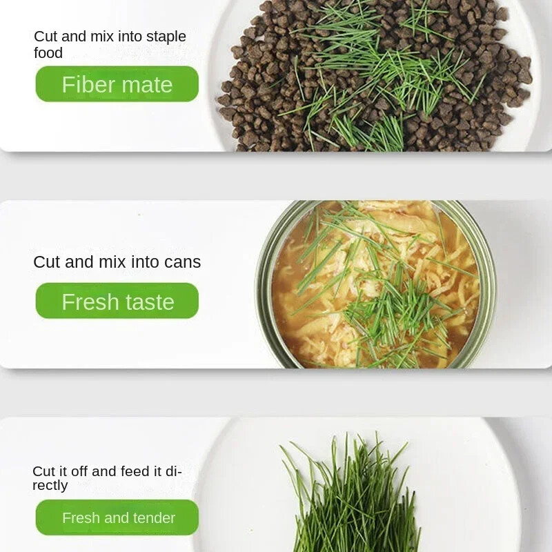 Gustare pentru pisici Plantare cu mentă Cutie de plastic hidroponică Ghiveci pentru pisici Contrast Hidroponic Det Iarbă pentru pisici Bol pentru plante fără semințe Aprovizionare pentru grădină