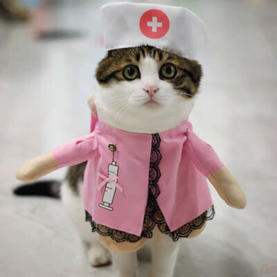 Haine pentru animale de companie de Halloween Haine pentru câini Haine pentru pisici Haine drăguț și amuzant Haine amuzante pentru pisică Haine pentru câini în picioare Costum pentru animale de companie