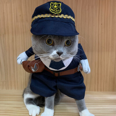 Haine pentru animale de companie de Halloween Haine pentru câini Haine pentru pisici Haine drăguț și amuzant Haine amuzante pentru pisică Haine pentru câini în picioare Costum pentru animale de companie