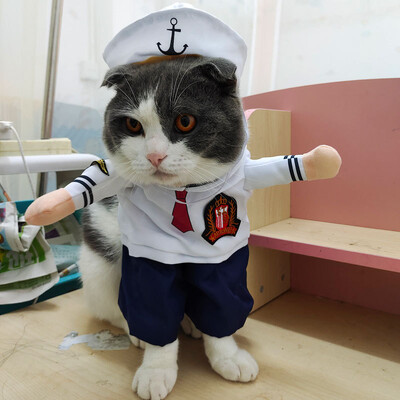 Haine pentru animale de companie de Halloween Haine pentru câini Haine pentru pisici Haine drăguț și amuzant Haine amuzante pentru pisică Haine pentru câini în picioare Costum pentru animale de companie