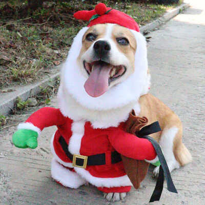 Haine pentru animale de companie de Halloween Haine pentru câini Haine pentru pisici Haine drăguț și amuzant Haine amuzante pentru pisică Haine pentru câini în picioare Costum pentru animale de companie