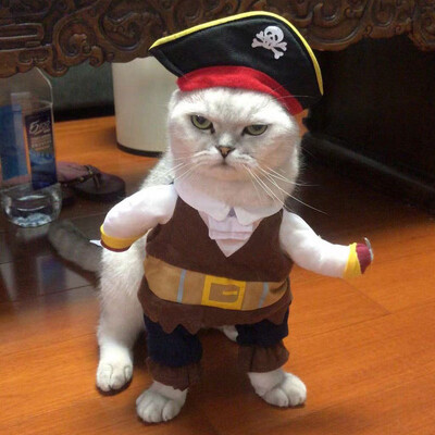 Haine pentru animale de companie de Halloween Haine pentru câini Haine pentru pisici Haine drăguț și amuzant Haine amuzante pentru pisică Haine pentru câini în picioare Costum pentru animale de companie