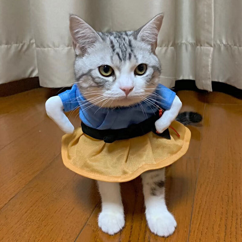 Haine pentru animale de companie de Halloween Haine pentru câini Haine pentru pisici Haine drăguț și amuzant Haine amuzante pentru pisică Haine pentru câini în picioare Costum pentru animale de companie