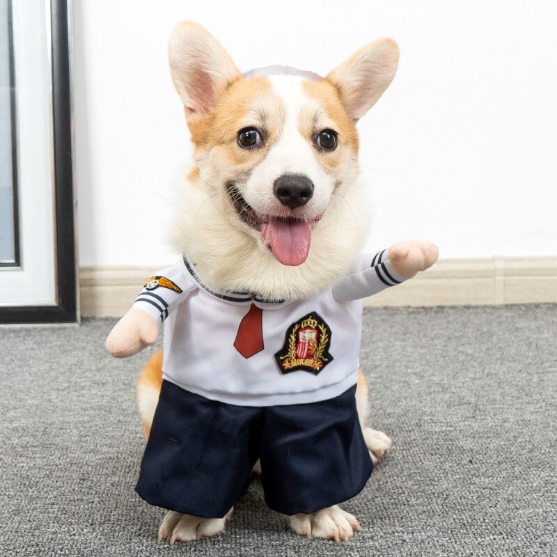 Haine pentru câini Costum amuzant Halloween Cățeluș Hanorac Costum Câine Cosplay Haine Îmbrăcăminte de petrecere Pisică Seturi pentru câini Rochie pentru animale de companie Ținute pentru câini