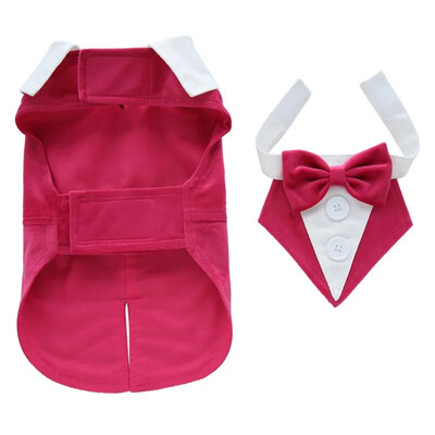 Pavasario rudens naminių gyvūnėlių drabužiai Madingi šunų smokingai su peteliške mažiems šunims Šnaucerio Jorkšyro kostiumas