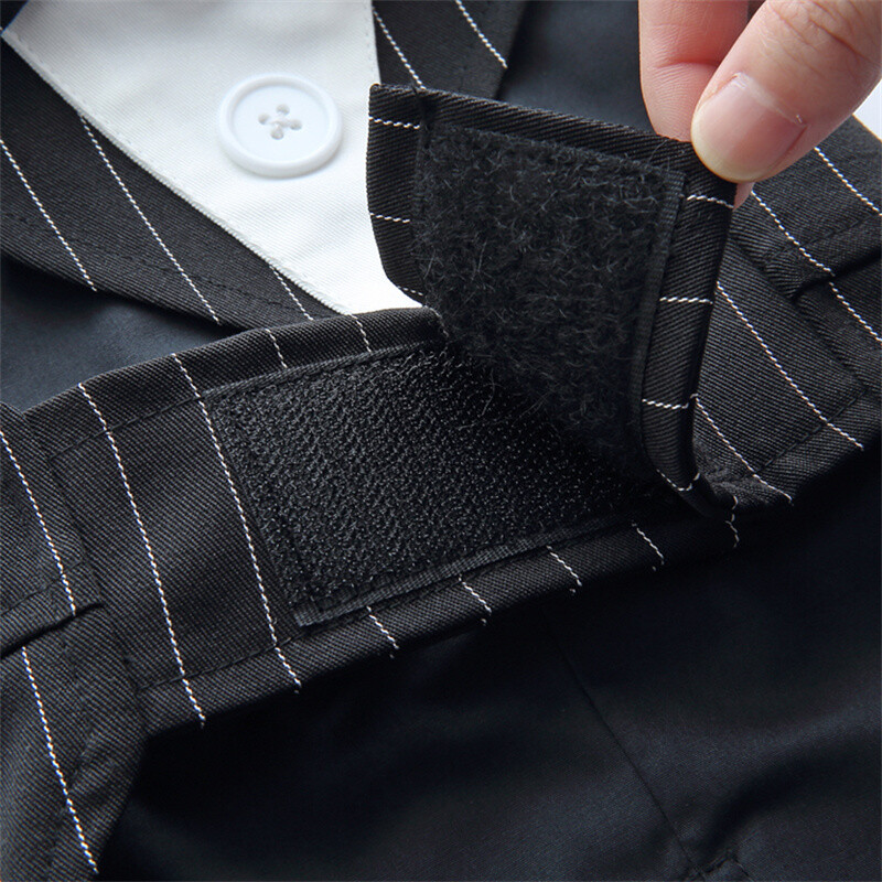 Pavasario rudens naminių gyvūnėlių drabužiai Madingi šunų smokingai su peteliške mažiems šunims Šnaucerio Jorkšyro kostiumas