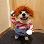 1 szett Pet Cosplay jelmez Kísérteties Halálos baba Kutyaruhák Sokoldalú, kényelmes halloween-ruha kutyáknak macskáknak Chucky jelmezek