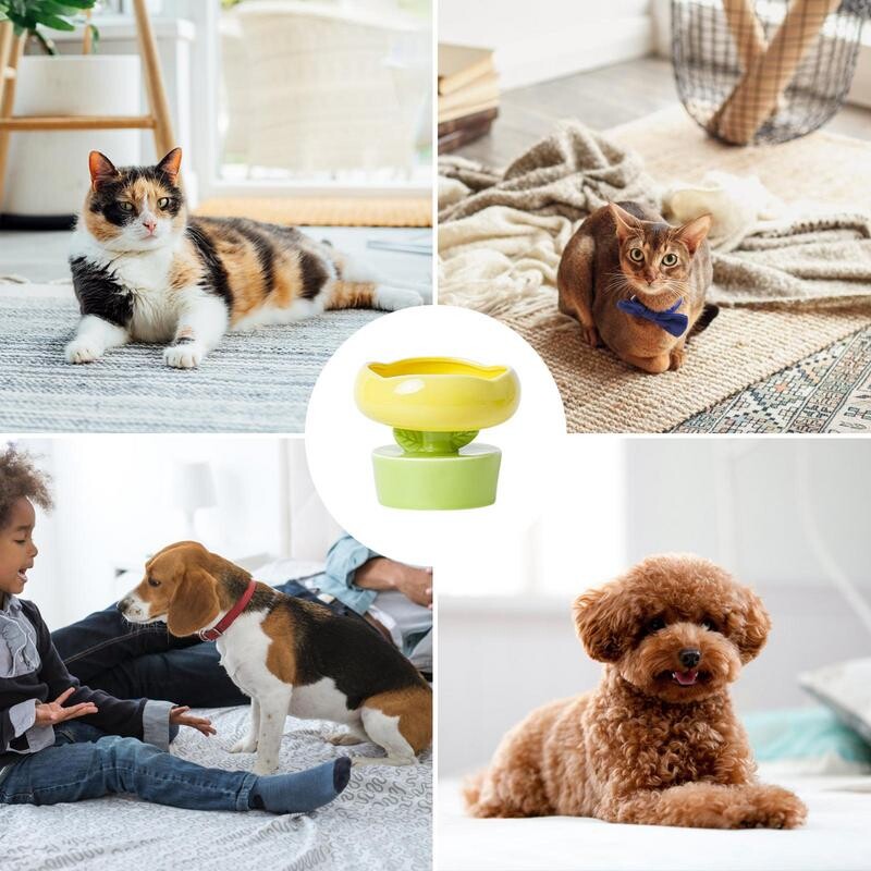 Paaugstināta suņa kaķu barības bļoda Radoša ziedu formas barība Ūdens padeves ierīce Keramika Ūdens bļoda Mājdzīvnieku piederumi kaķēniem Mājdzīvnieku produkti