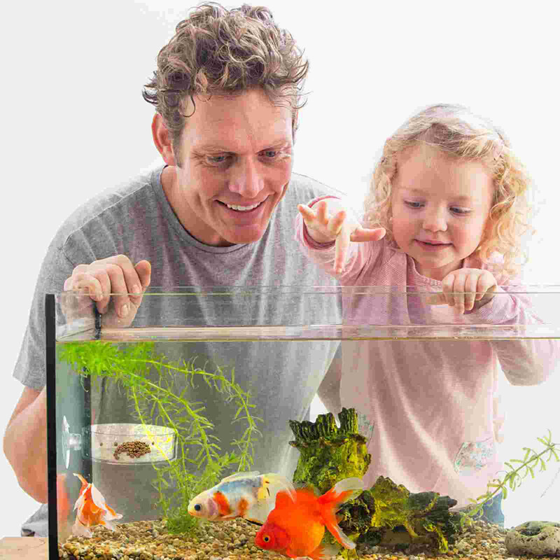 4 buc. Bol pentru hrănire aerian Tavă pentru rezervor de pește Hrănitor pentru acasă Rezervoare pentru acvariu Hrană acril Betta