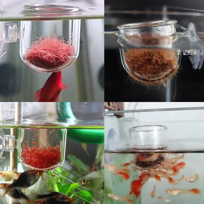 Akvariumo tiektuvas Stiklo pašarų puodelis Raudonas sliekų šėrimo įrankis siurblys gyvas kirmėlės piltuvas žuvų bako maitinimo konteineris Automatinis žuvų tiektuvas