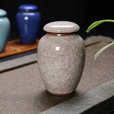 Smulki naminių gyvūnėlių urna Paukštis Šuo Naminių gyvūnėlių urnos Kremavimas Naminių gyvūnėlių karstai Laidotuvių vaza Katės kremavimo pelenai žmonių pelenams Pagaminta keramika, dažyta rankomis